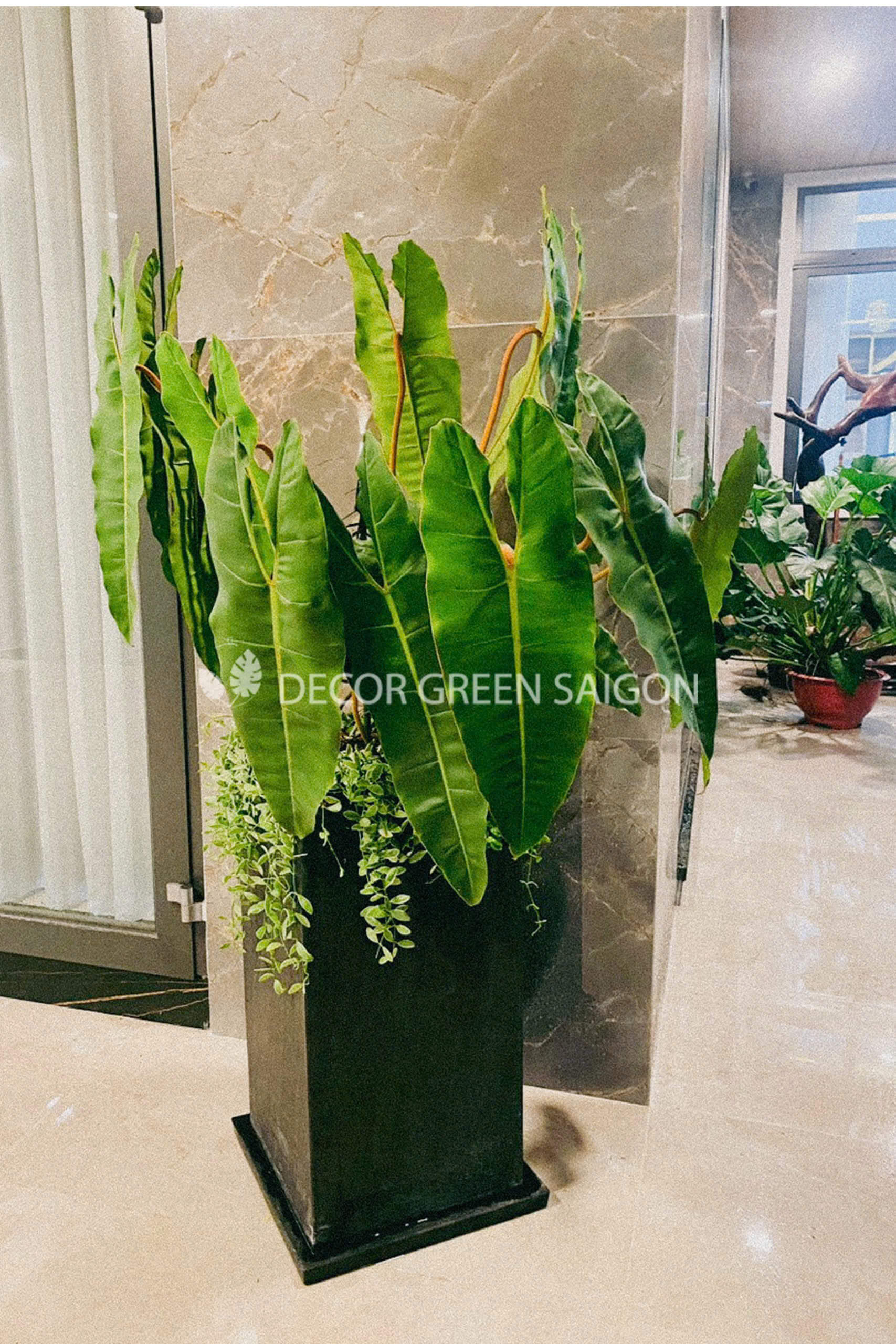 Hồng hạc kèm chậu decor