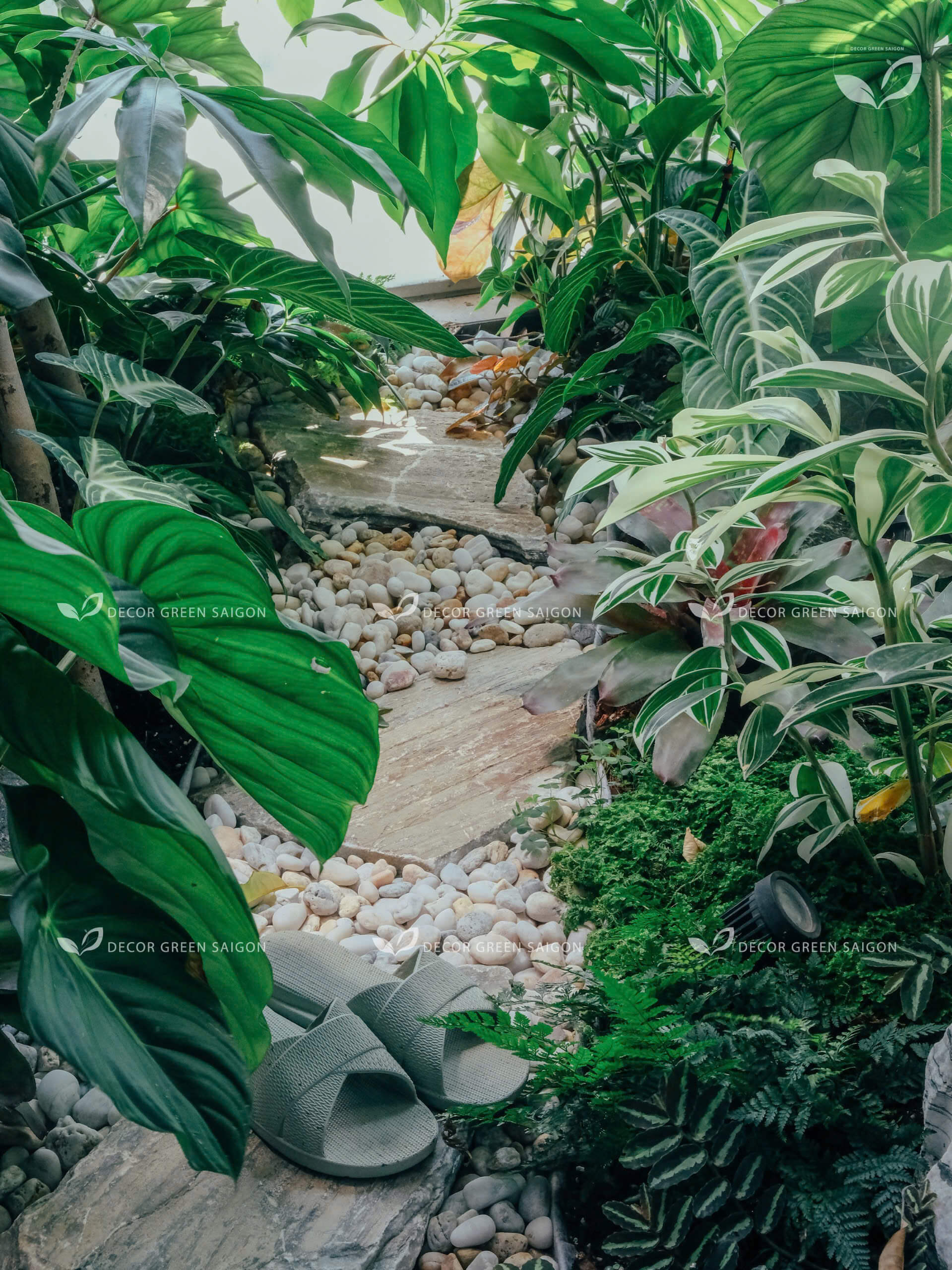 Khu vườn nhiệt đới trên cao - Quận 2